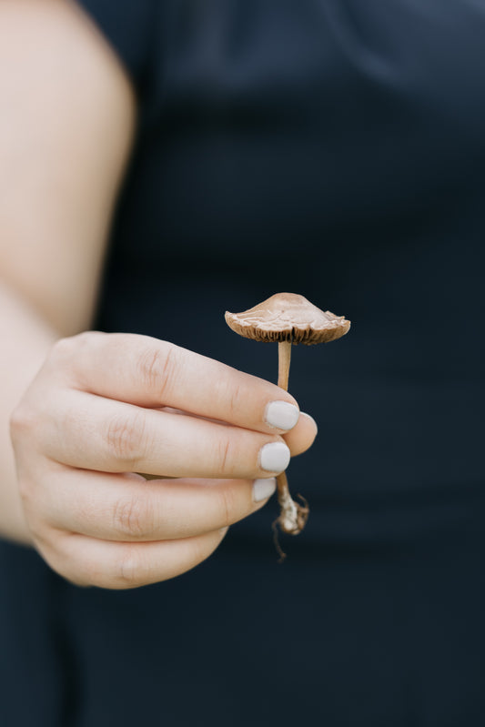 Sustainable Self Care