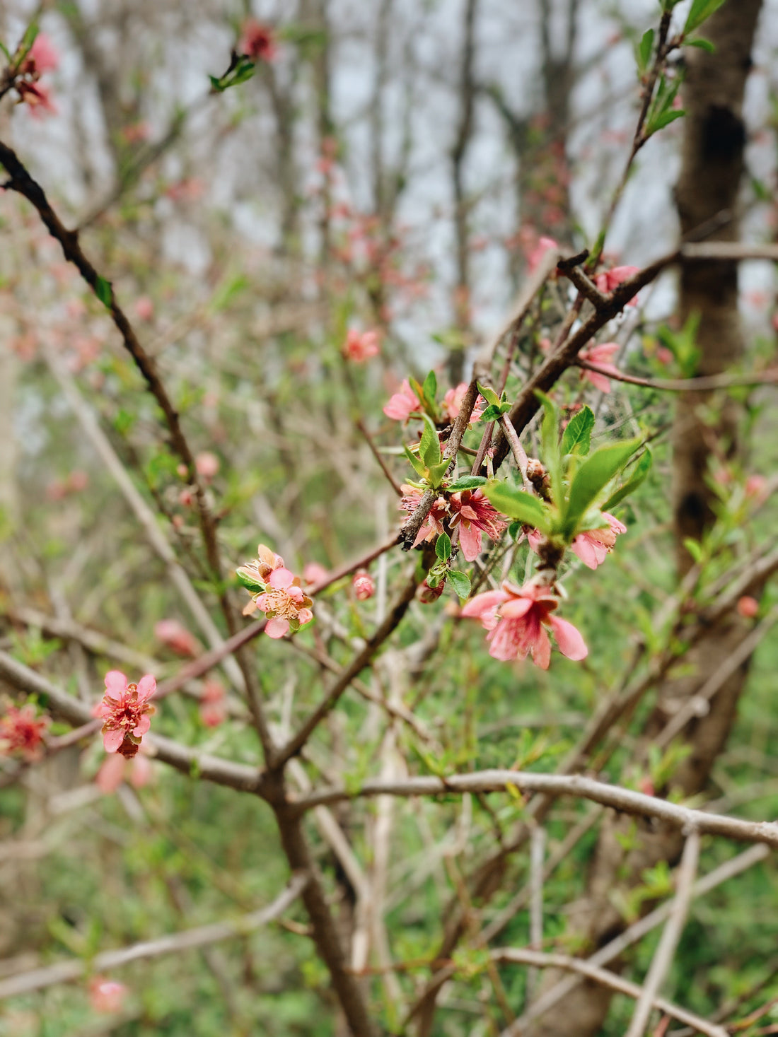 all inclusive business retreats for women