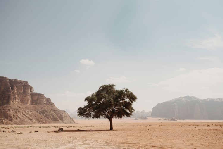 Benefits of Spending Time in the Desert
