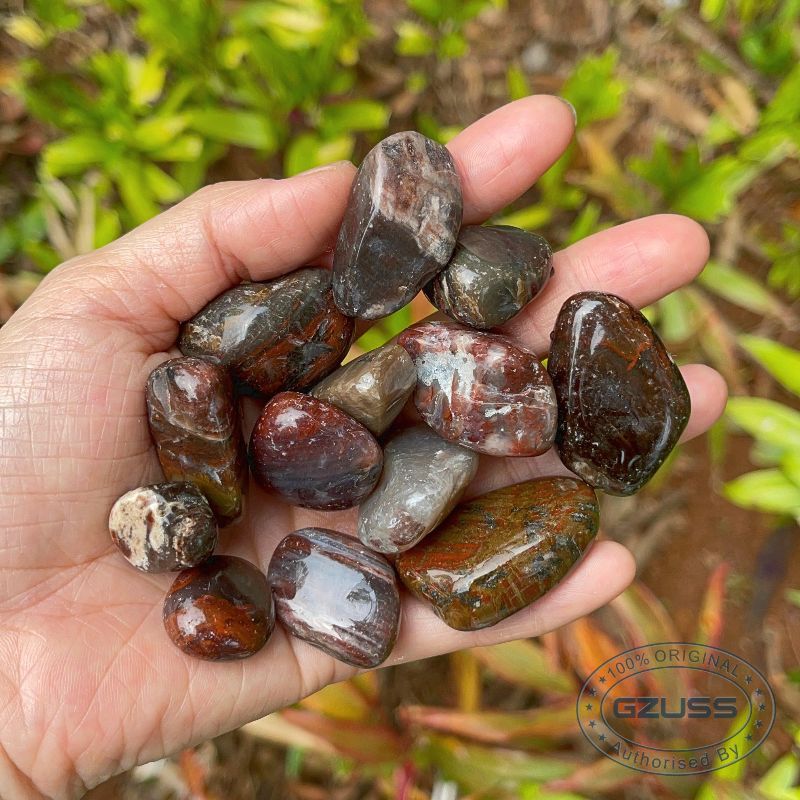Petrified Wood Stone Petrified Wood Tumbled Stones - Mineral Specimen - Fossilized Wood - Healing Crystals and Stones