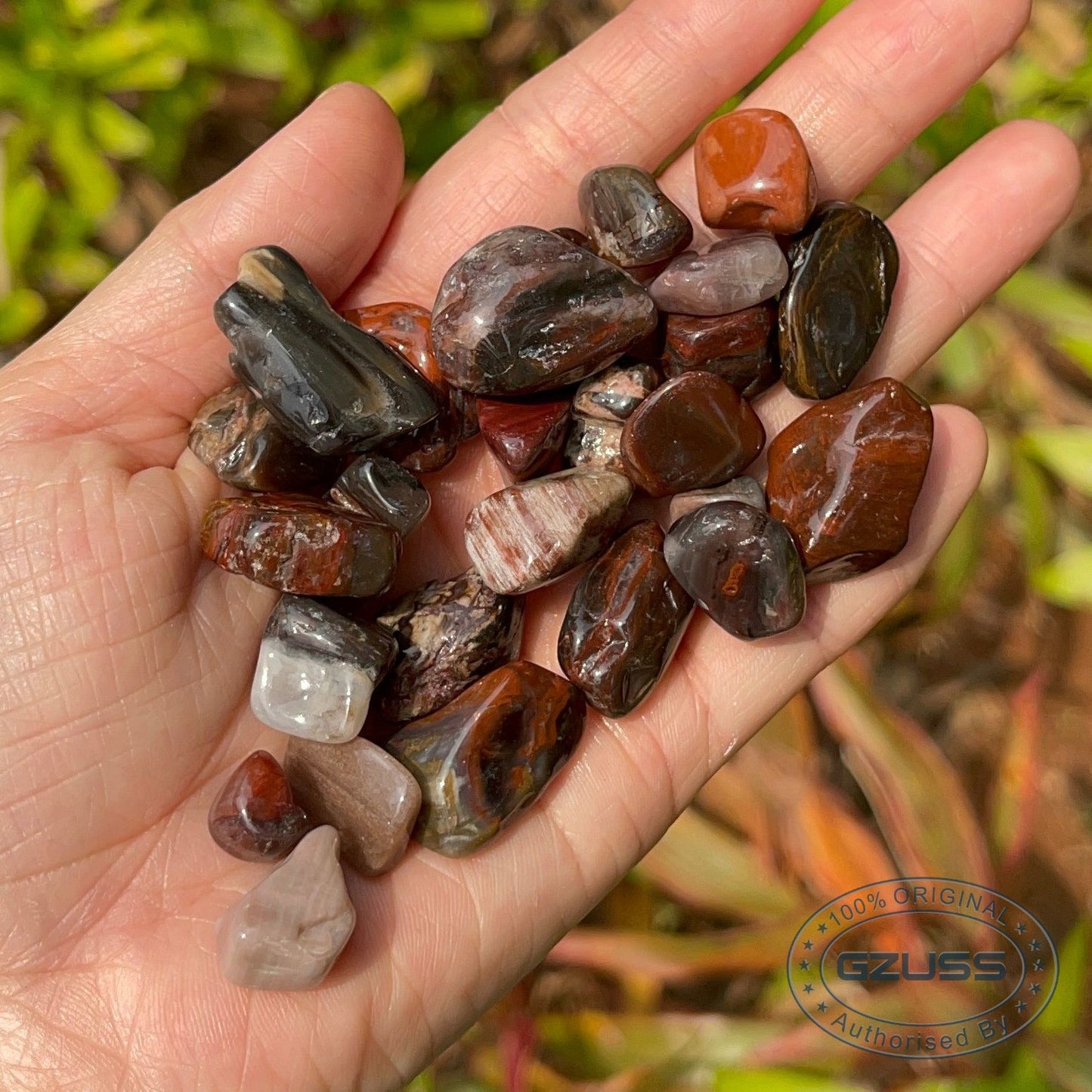 Petrified Wood Stone Petrified Wood Tumbled Stones - Mineral Specimen - Fossilized Wood - Healing Crystals and Stones
