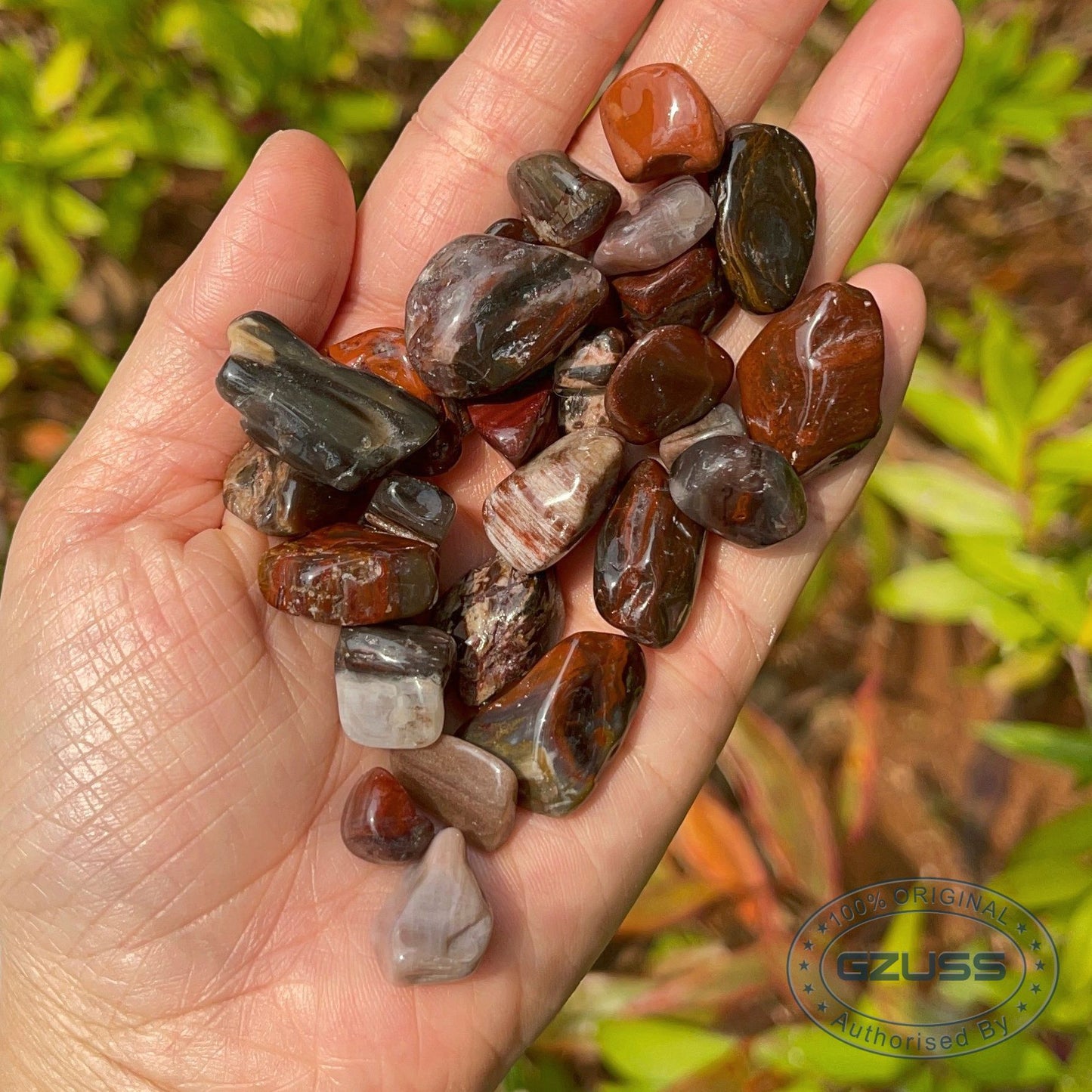 Petrified Wood Stone Petrified Wood Tumbled Stones - Mineral Specimen - Fossilized Wood - Healing Crystals and Stones