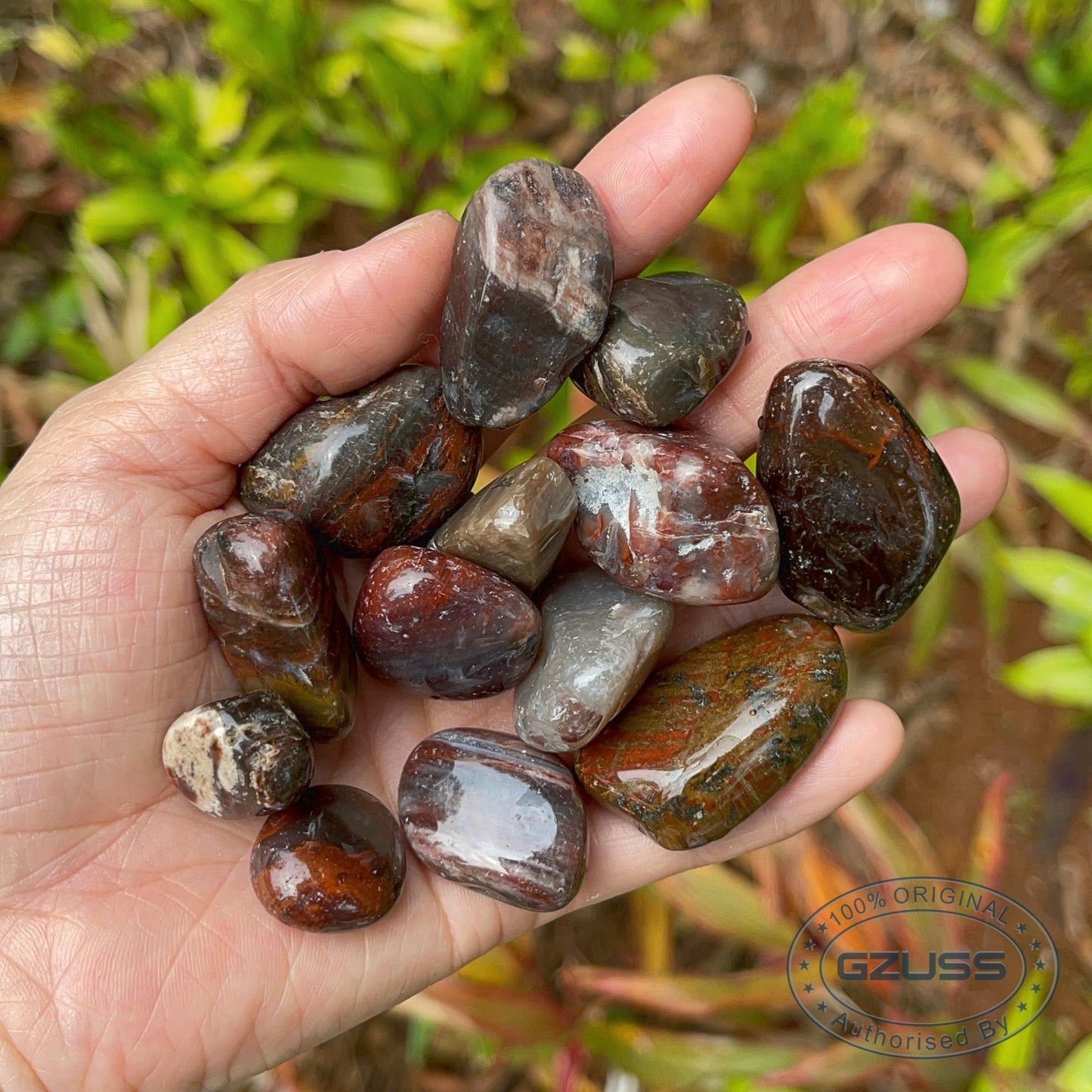 Petrified Wood Stone Petrified Wood Tumbled Stones - Mineral Specimen - Fossilized Wood - Healing Crystals and Stones