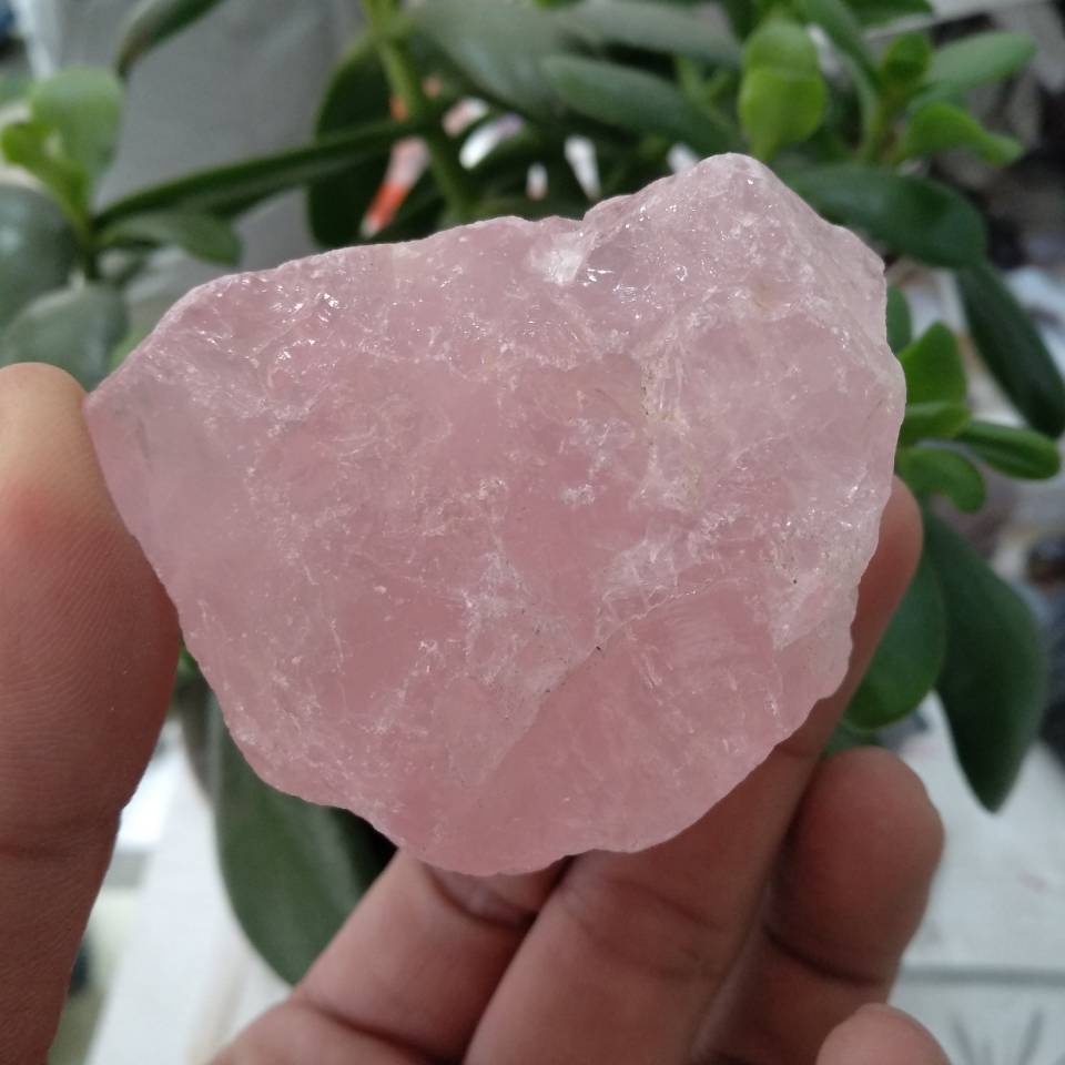 1pcs 50g Natural Rough Rose Quartz Crystals (Raw Specimen Healing Reiki Love Stone).