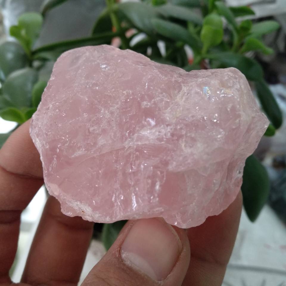 1pcs 50g Natural Rough Rose Quartz Crystals (Raw Specimen Healing Reiki Love Stone).