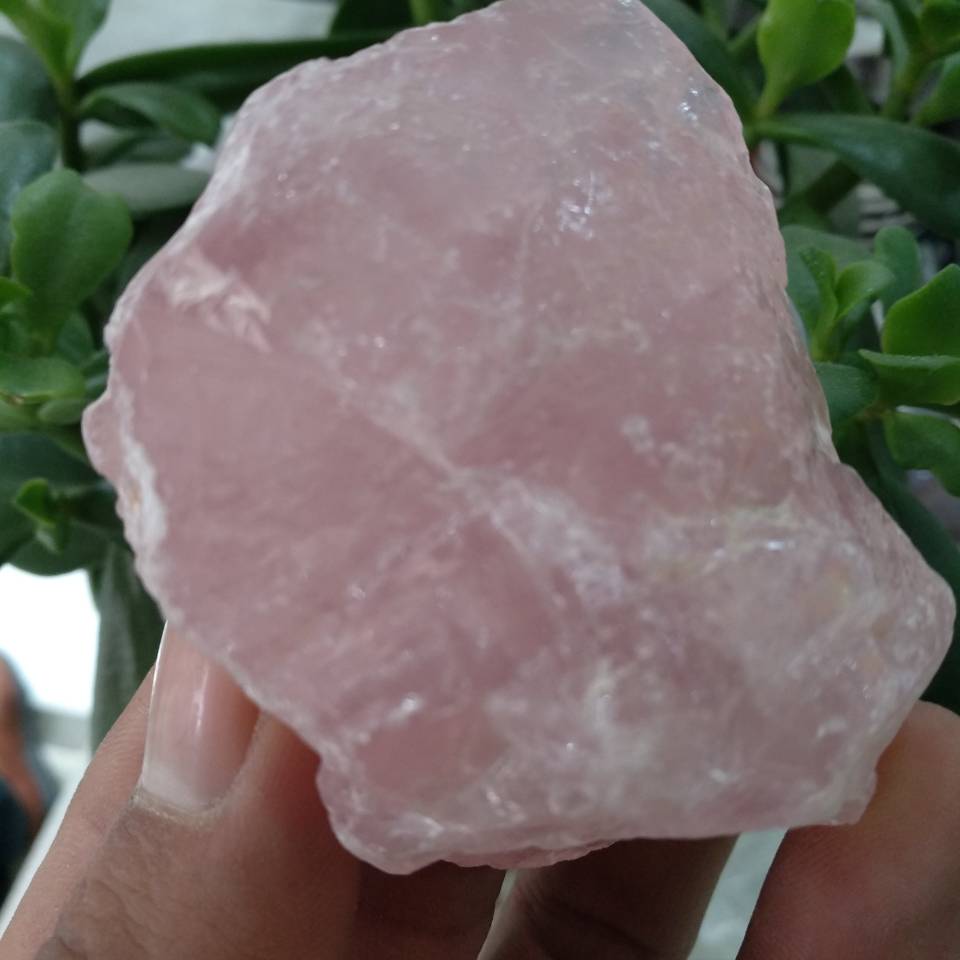 1pcs 50g Natural Rough Rose Quartz Crystals (Raw Specimen Healing Reiki Love Stone).