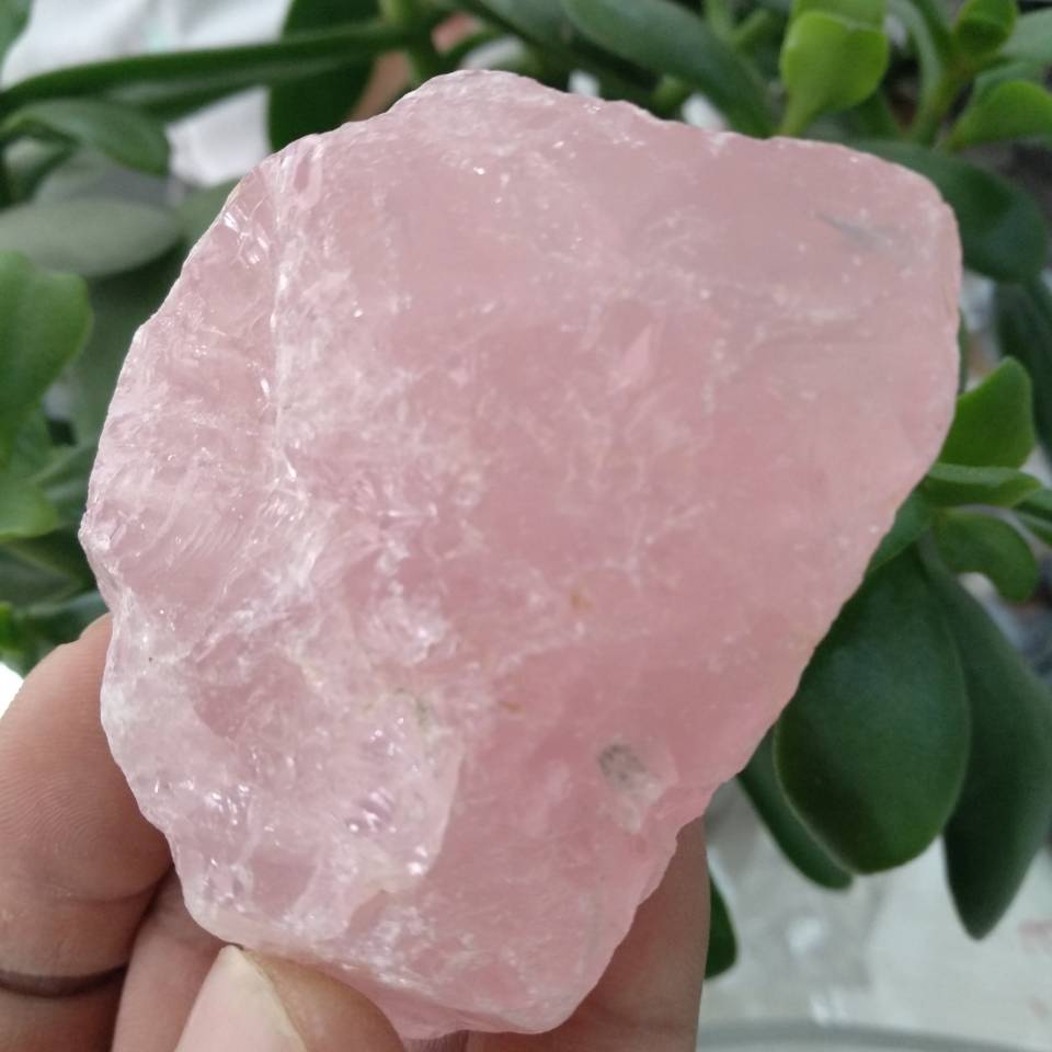 1pcs 50g Natural Rough Rose Quartz Crystals (Raw Specimen Healing Reiki Love Stone).