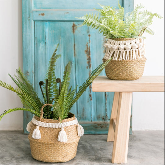 Woven Grass Baskets with Decorative Tassels / Weavings / Macrame freeshipping - Dara Laine Murray