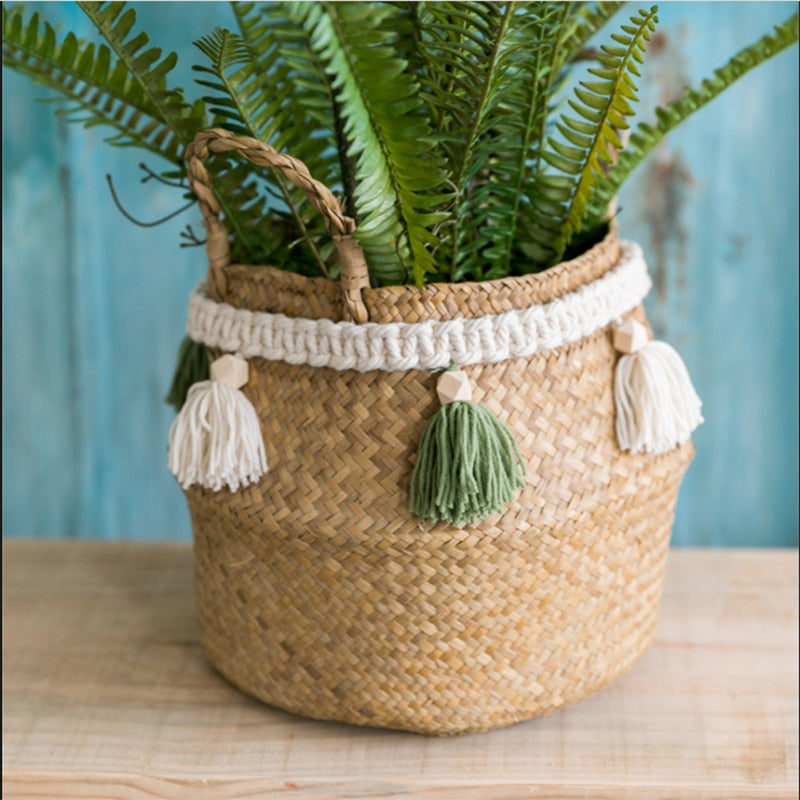 Woven Grass Baskets with Decorative Tassels / Weavings / Macrame freeshipping - Dara Laine Murray