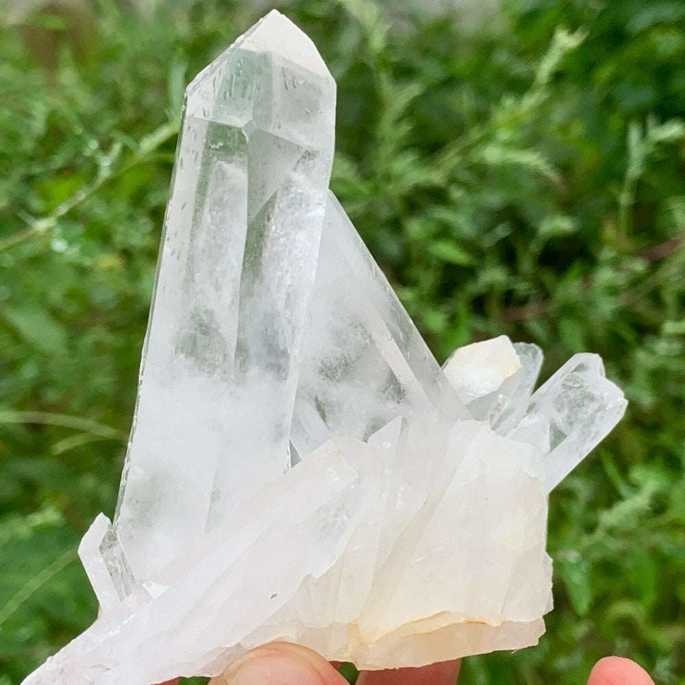 Natural Rare White Quartz Crystal Cluster Mineral Specimen Healing freeshipping - Dara Laine Murray