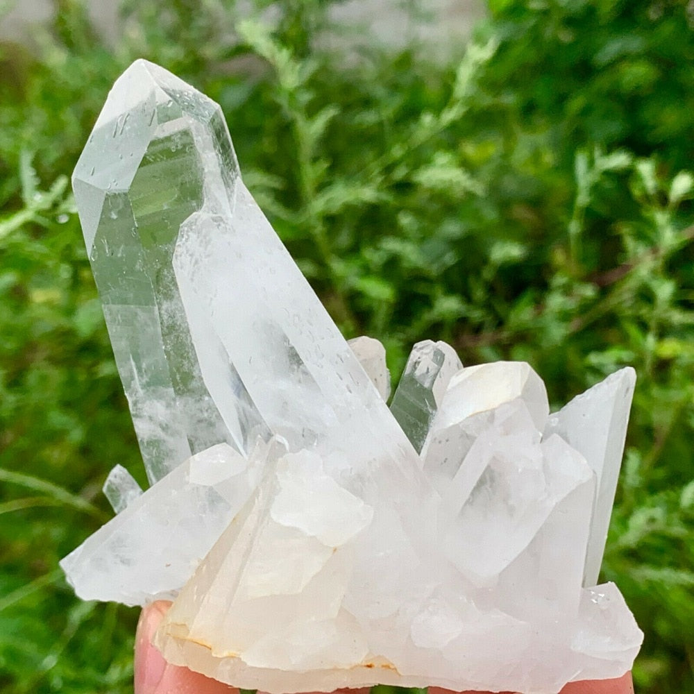 Natural Rare White Quartz Crystal Cluster Mineral Specimen Healing freeshipping - Dara Laine Murray