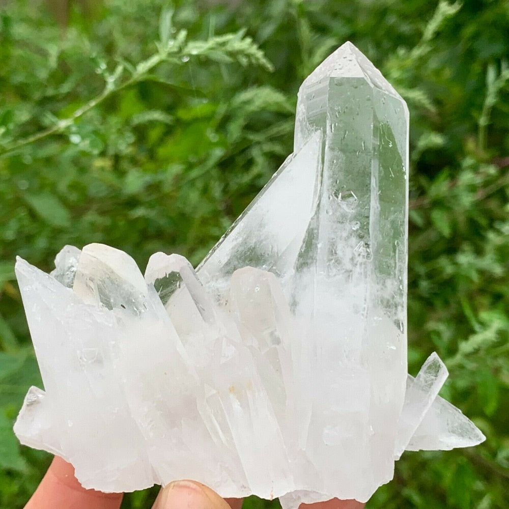 Natural Rare White Quartz Crystal Cluster Mineral Specimen Healing freeshipping - Dara Laine Murray