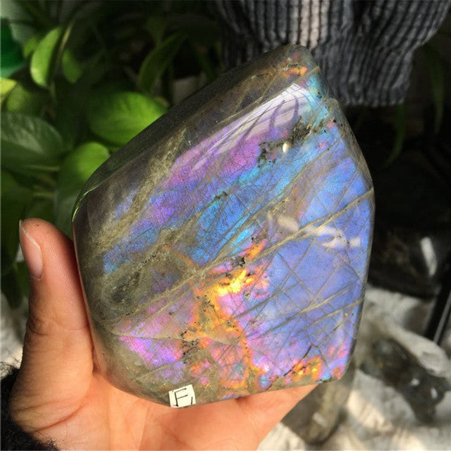 Misty Starlight Violet Labradorite Crystal - Freeform w/ Pink and Purple Flash (rare) choose your own
