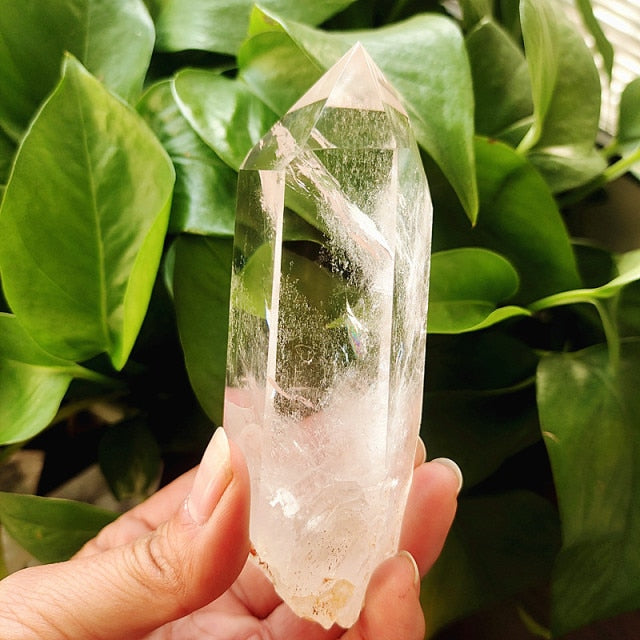 Choose Your Own Specific Clear Quartz Crystal.