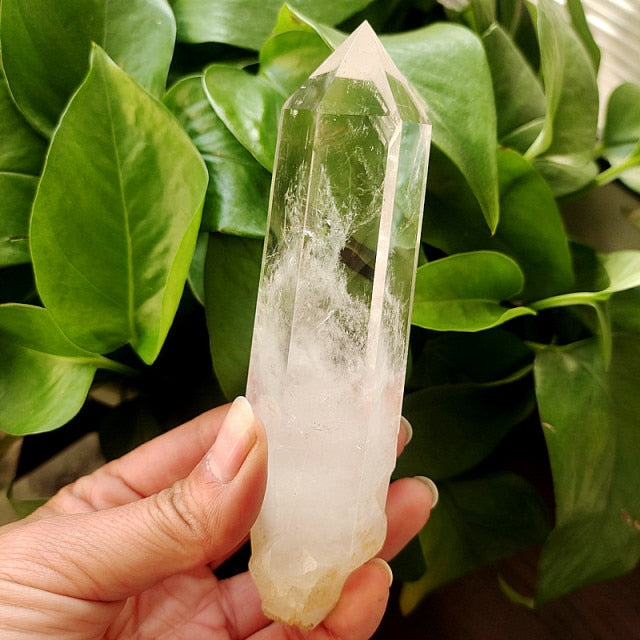Choose Your Own Specific Clear Quartz Crystal.