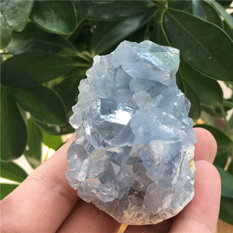 crystals for spring