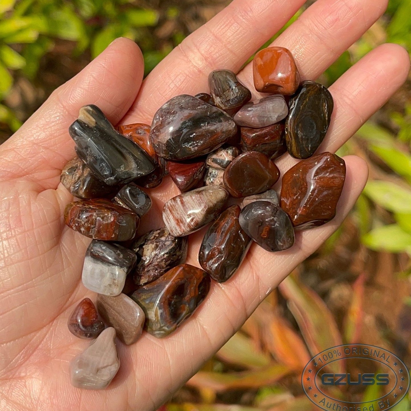 Petrified Wood Stone Petrified Wood Tumbled Stones - Mineral Specimen - Fossilized Wood - Healing Crystals and Stones