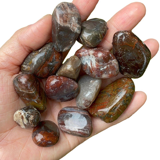 |14:200004889#medium(2-3cm);5:200000990#1pcs|14:200004889#medium(2-3cm);5:361385#wholesale 50g|14:200004889#medium(2-3cm);5:361386#wholesale 100g|14:200004889#medium(2-3cm);5:100014064#wholesale 300g|14:200004889#medium(2-3cm);5:100014065#wholesale 500g|3256803843450668-medium(2-3cm)-1pcs|3256803843450668-medium(2-3cm)-wholesale 50g|3256803843450668-medium(2-3cm)-wholesale 100g|3256803843450668-medium(2-3cm)-wholesale 300g|3256803843450668-medium(2-3cm)-wholesale 500g