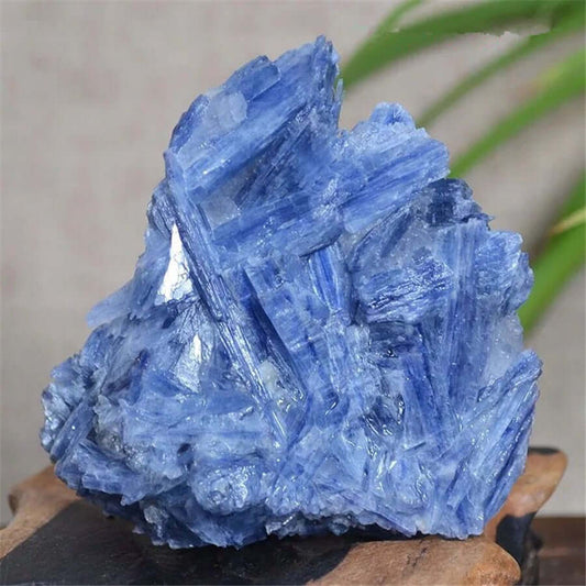 100-500g Natural Crystals Blue Kyanite Stones and Minerals Luck room Decoration freeshipping - Dara Laine Murray