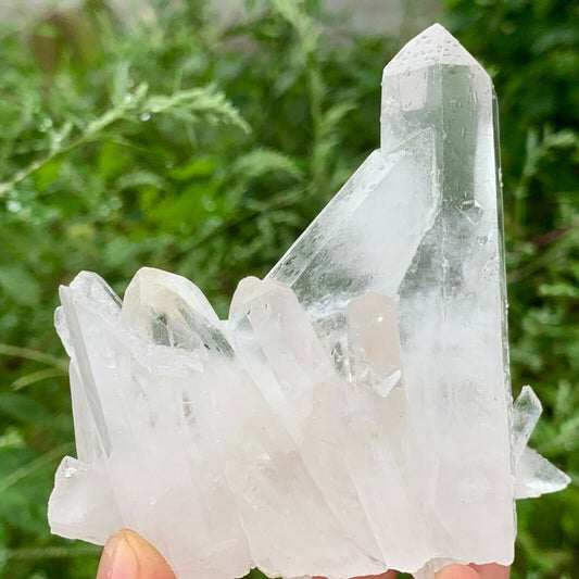 Natural Rare White Quartz Crystal Cluster Mineral Specimen Healing freeshipping - Dara Laine Murray