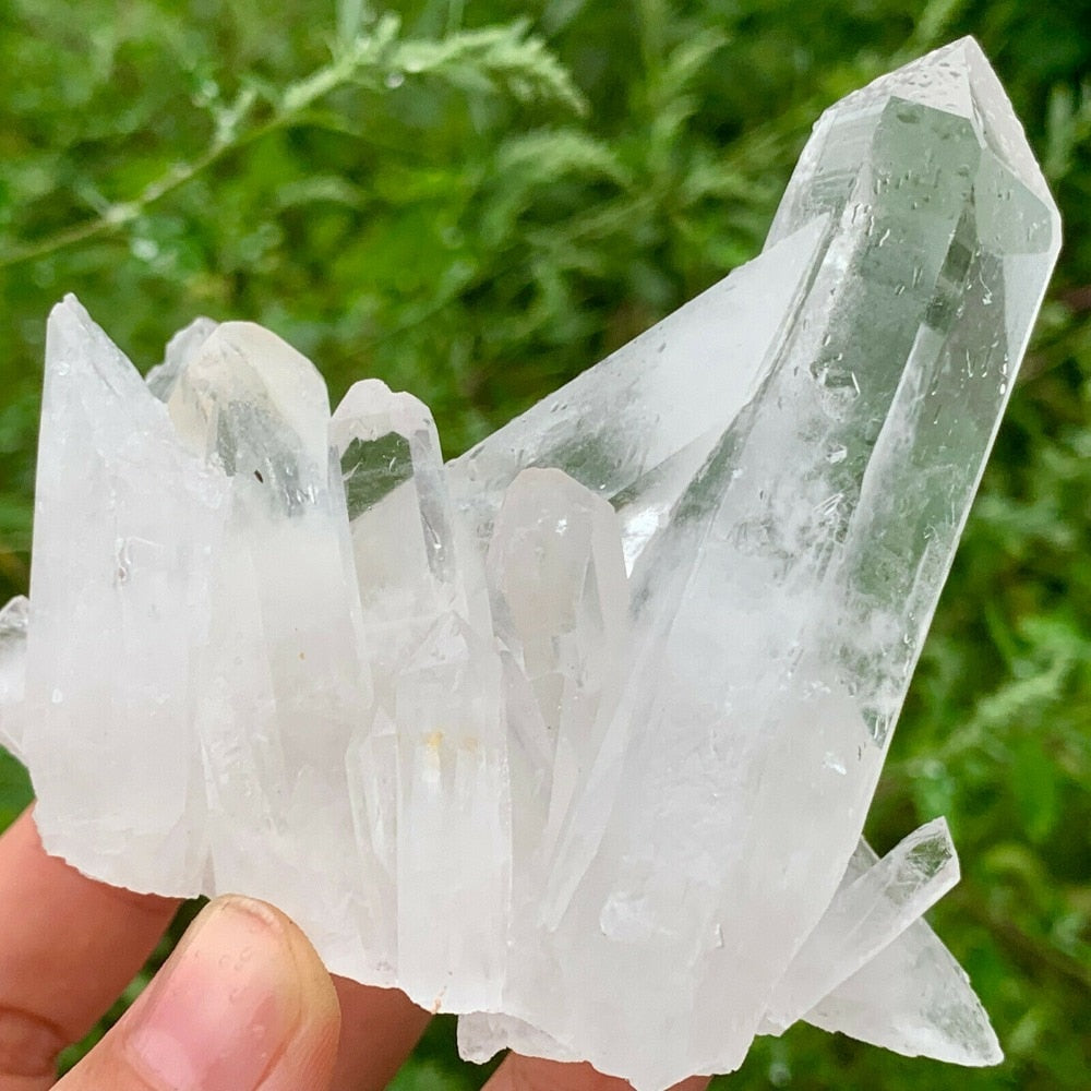 Natural Rare White Quartz Crystal Cluster Mineral Specimen Healing freeshipping - Dara Laine Murray