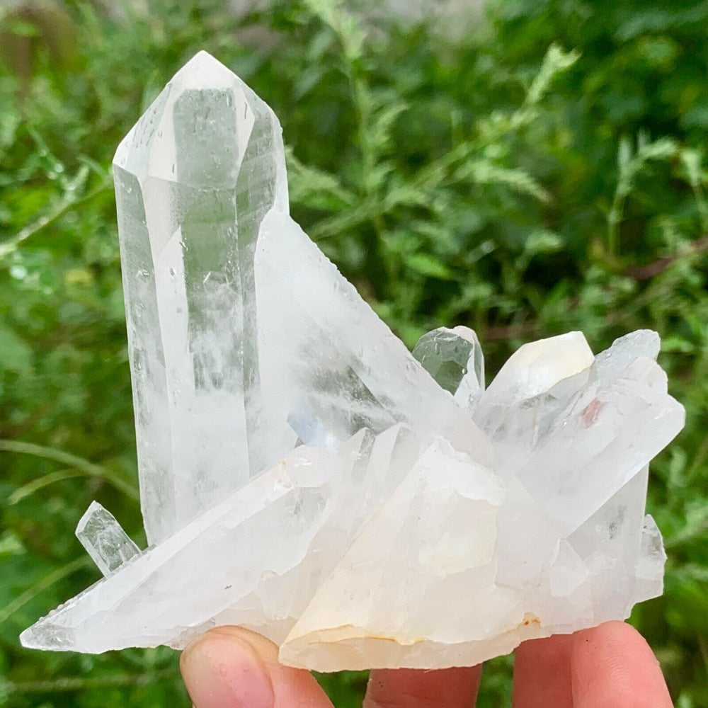 Natural Rare White Quartz Crystal Cluster Mineral Specimen Healing freeshipping - Dara Laine Murray
