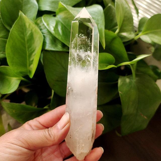 Choose Your Own Specific Clear Quartz Crystal.